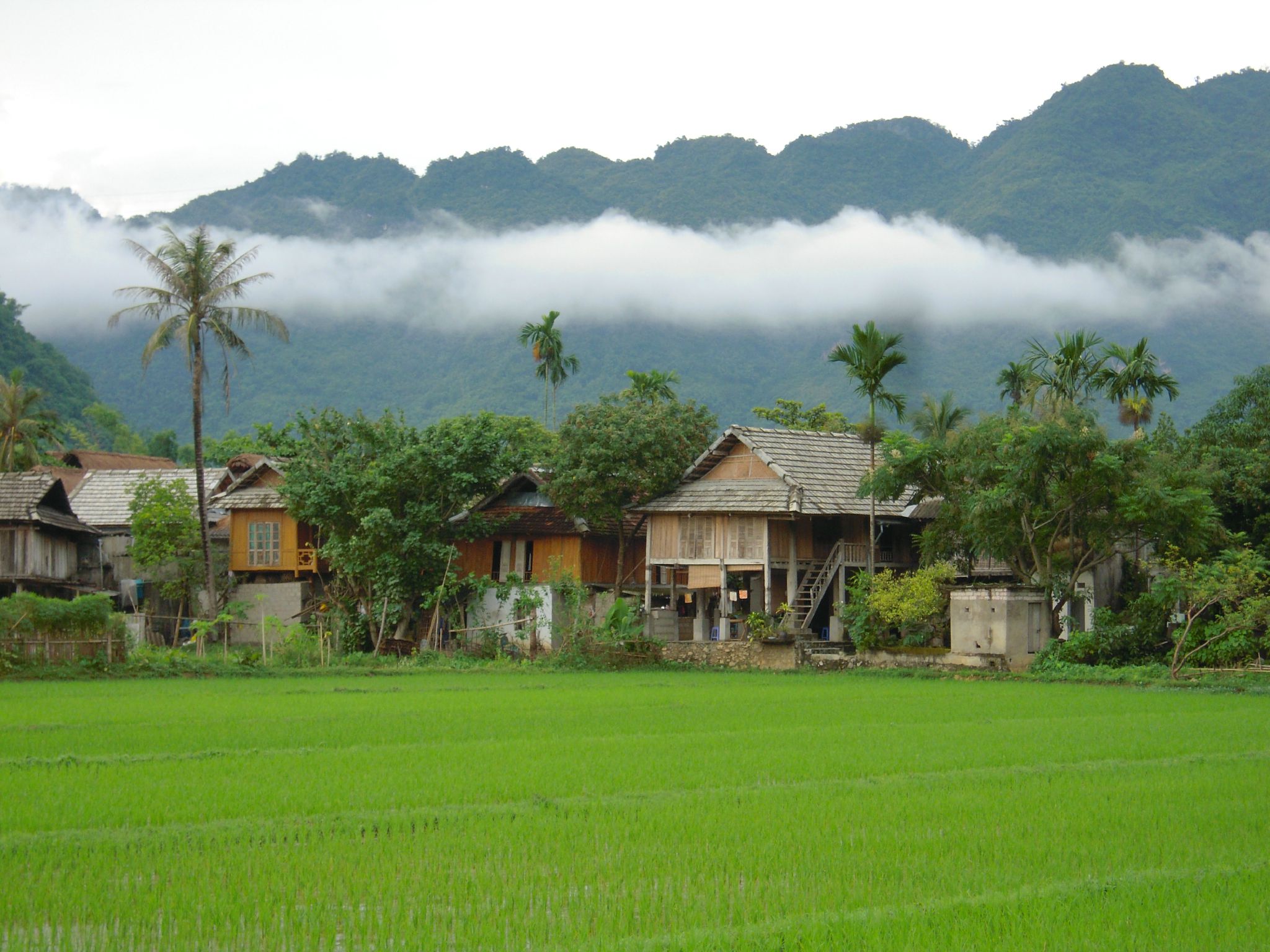 Nature Discovery Pu Luong – Ninh Binh – Halong Bay